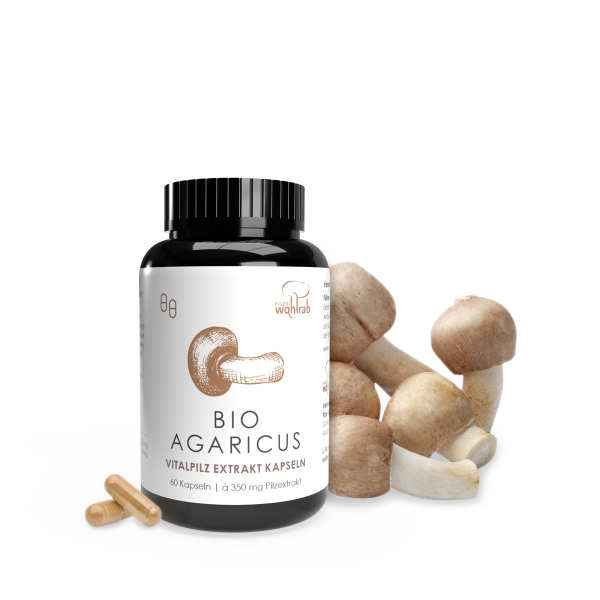 Agaricus blazei Murill BIO Extraktkapseln